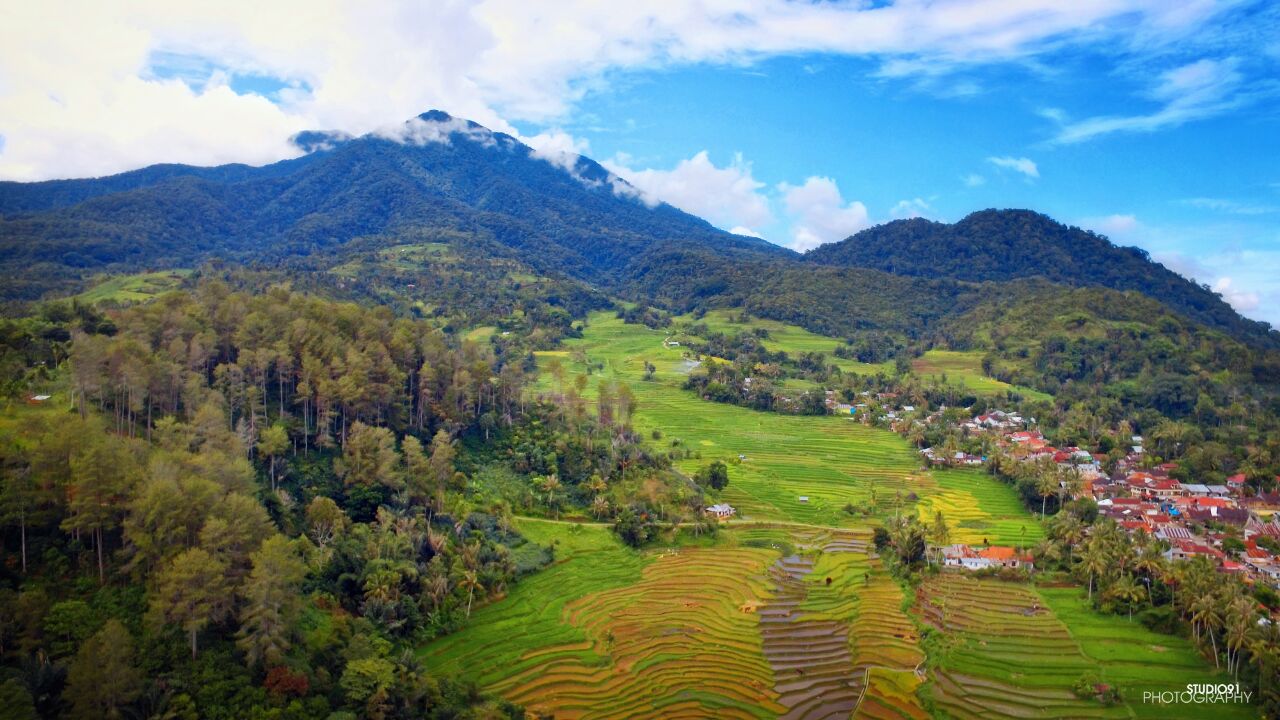 Pemandangan Desa Linggar